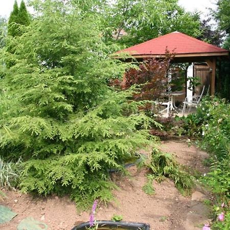 Pension Haus Zum Schlehenberg Bayreuth Zewnętrze zdjęcie